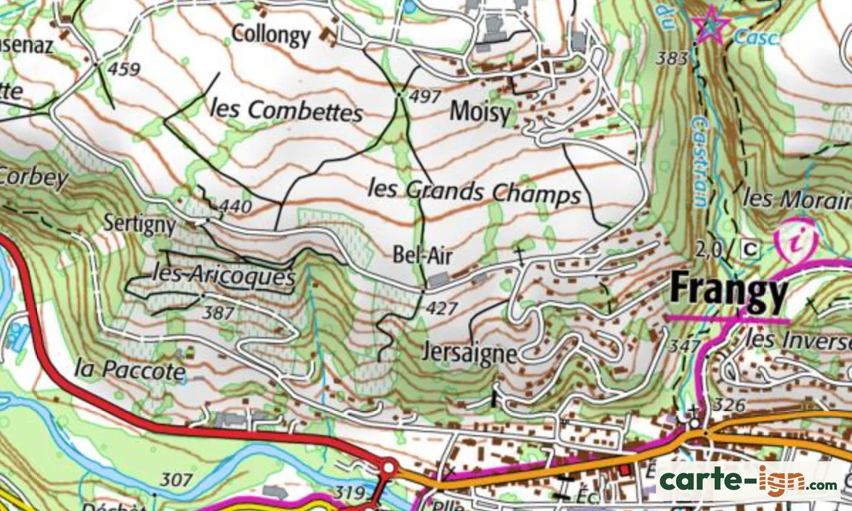 Les vignes au-dessus de Frangy sur la carte IGN, fond vert pâle strié de petits traits verts