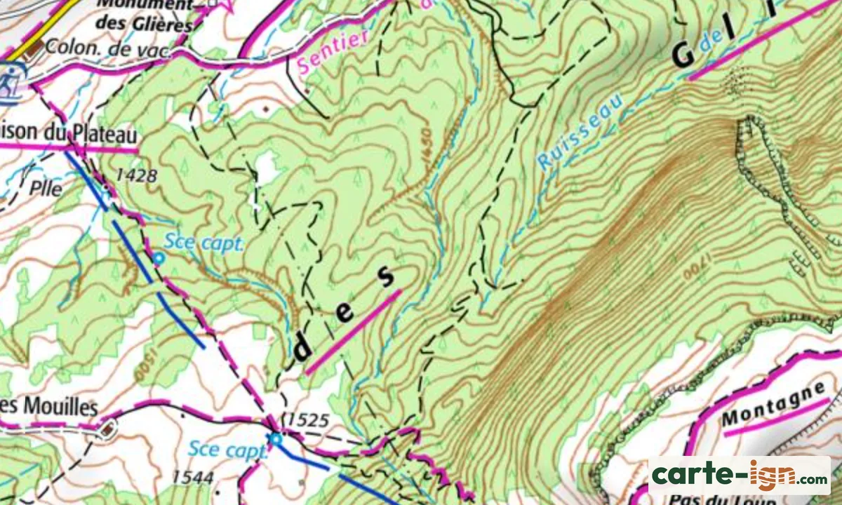 La forêt de conifères du plateau des Glières sur la carte IGN, fond vert semé de petits sapins