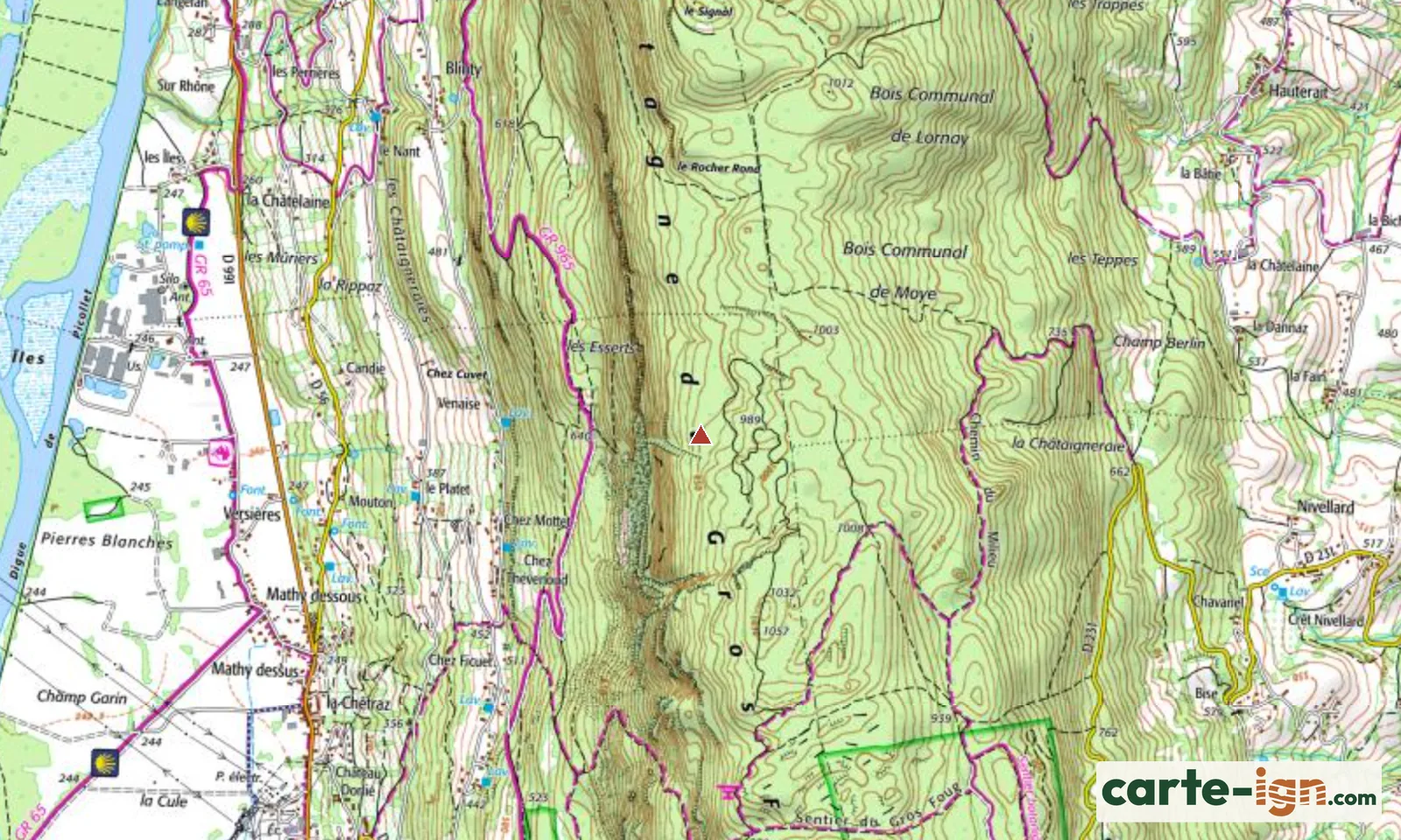Montagne du Gros Foug à Serrières-en-Chautagne sur la carte IGN au 1:25 000, carte 3331OT Rumilly Seyssel